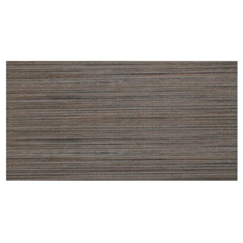 ΠΛΑΚΑΚΙ ΤΟΙΧΟΥ ARESTA TOKIO Gris 25x50 cm