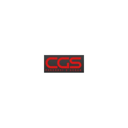 CGS