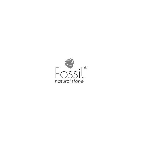 Fossil